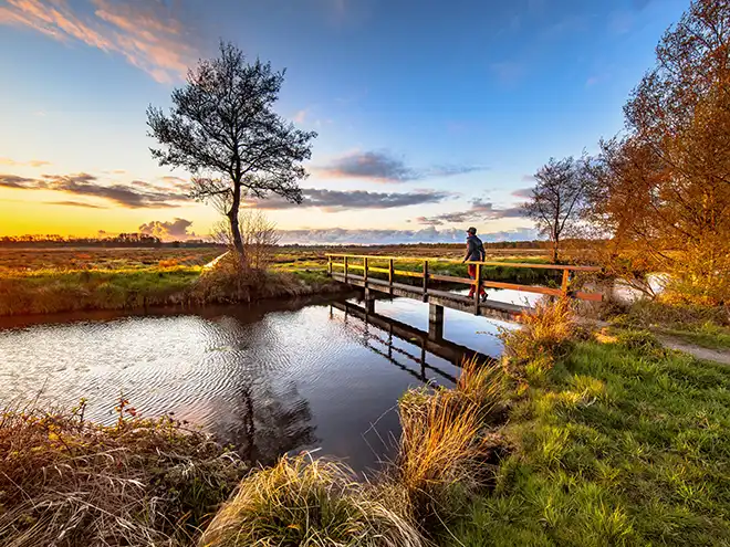 AdobeStock 496954291   fietsreis nederland