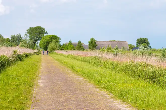 AdobeStock 160338528 fietsreis zuid holland artikel