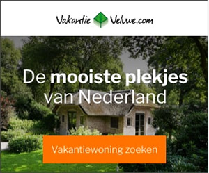 banner Vakantie Veluwe   300x250