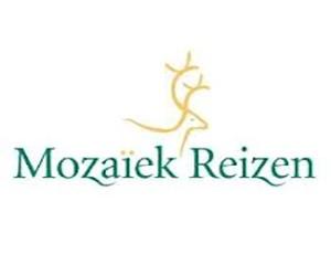 banner mozaiekreizen 300x250