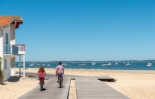 fietsvakanties friesland wadden fietsreizen   250x250