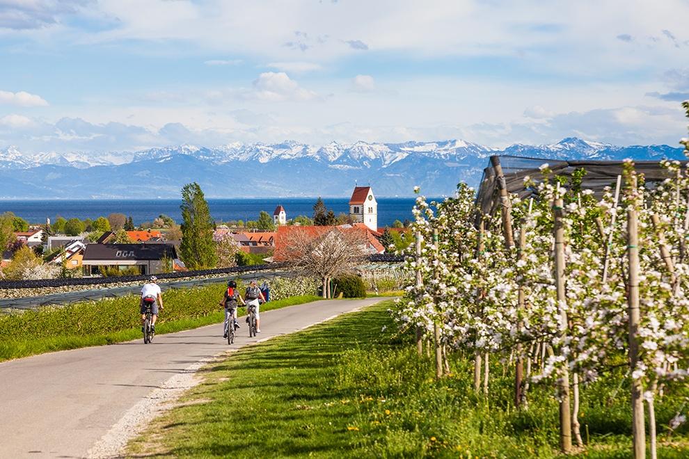 fietsen aan de bodensee990x660