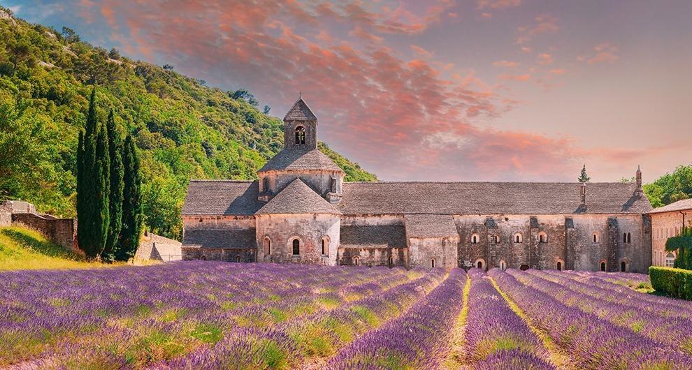 fietsvakantie provence vaucluse fietsreizen frankrijk 990x550